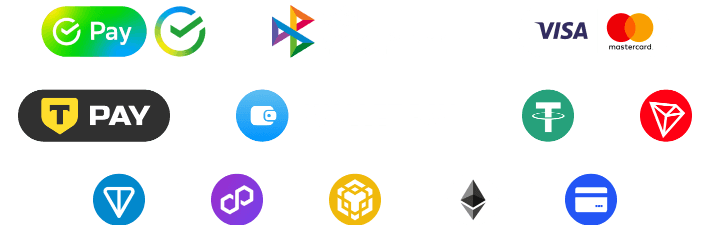 Платежные методы: SberPay, СБП, Visa, Mastercard, T-Pay, Wallet Pay, USDT, TRON, TON, Polygon, BNB Chain, Ethereum и банковские карты
